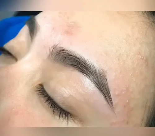 8 - Evolucion Art & Creations