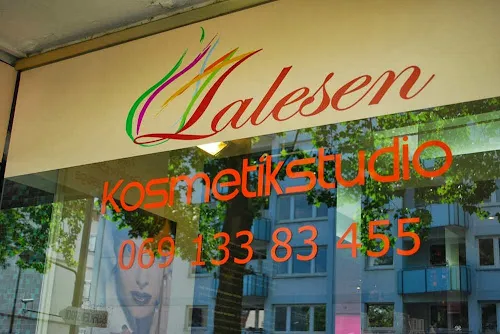 3 - Eyestethik by Aleksandra Bednarska Wimpernverlängerung und Schulung