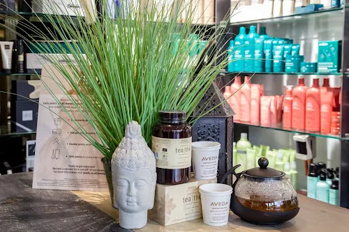 6 - Fallen Saint Hairdressing