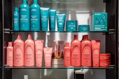 2 - Fallen Saint Hairdressing