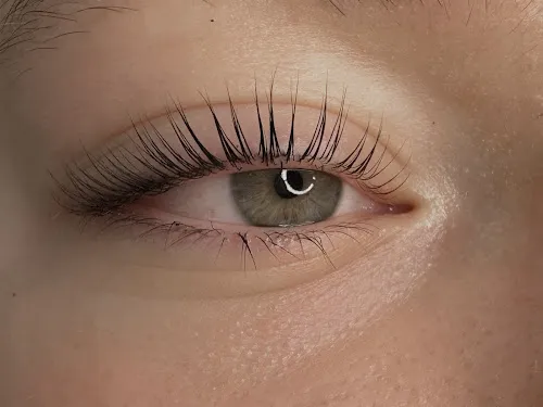 6 - Feinschnitt Herborn