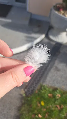 7 - Fine Cutz Barber Shop