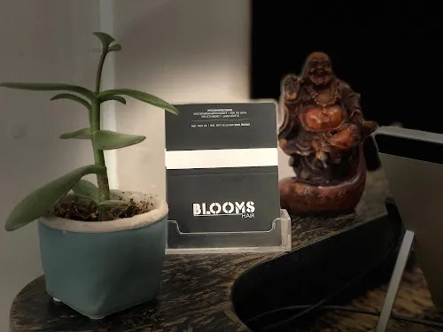 5 - First cut hair salon English