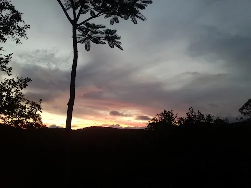 5 - Forster Keys Hair Design