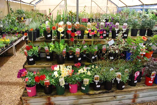 7 - FOSSICK made and found