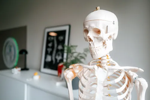 5 - Frau Anja Neuhaus