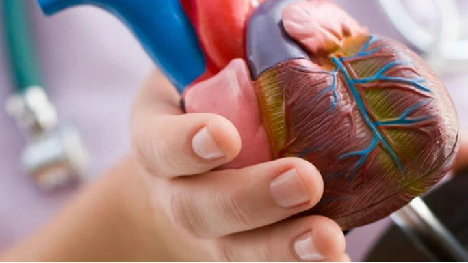 1 - Frau Barbara Hüller