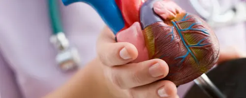 6 - Frau Barbara Hüller