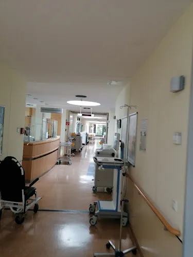 4 - Frau Dr. med. Angela Hübl