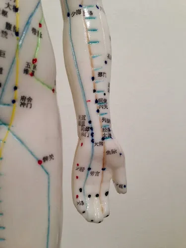 6 - Frau Dr. med. Ariana Wichmann