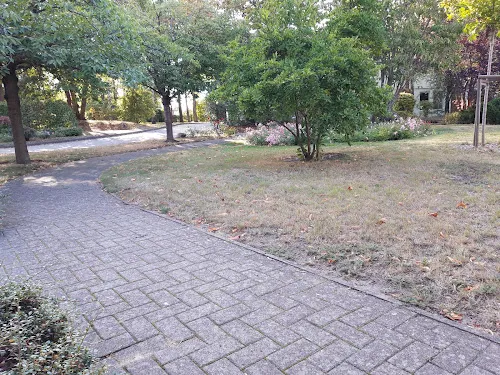 3 - Frau Dr. med. Christiane Bertram