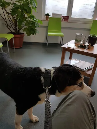 3 - Frau Dr. med. Dagmar Schatz