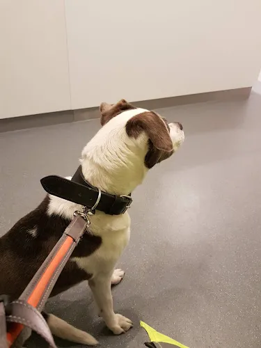 7 - Frau Dr. med. Dagmar Schatz