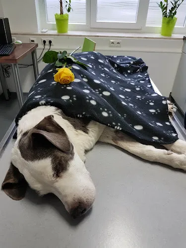 5 - Frau Dr. med. Dagmar Schatz