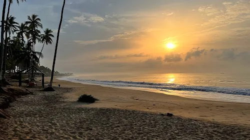 7 - Frau Dr. med. Dipl.-Biol. Angela Württenberger