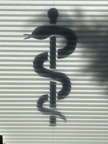 5 - Frau Dr. med. Ellen Brommer