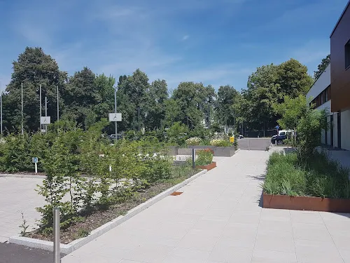 8 - Frau Dr. med. Lydia Teufel-Maier