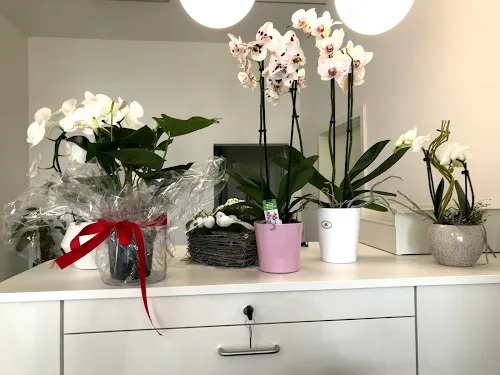 8 - Frau Dr. medic. stom. (UMF Bukarest) Saviana Ratiu