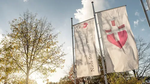 2 - Frau Elena Fried