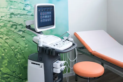 3 - Frau Elena Larionova