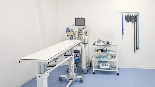 2 - Frau Eva Bergmann