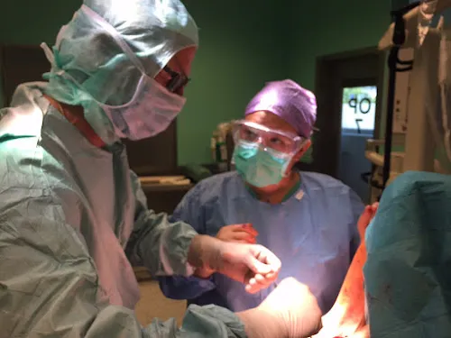 2 - Frau Sabine Sander