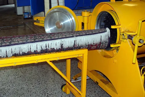 5 - Frau Stefanie Scholz