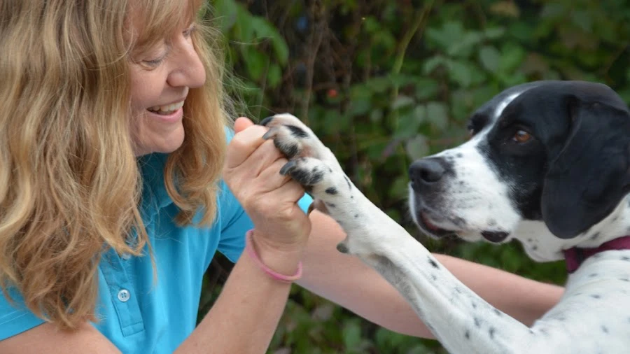 1 - Frau Thuy Thuy Truong & Herr Vinh Hoan Du