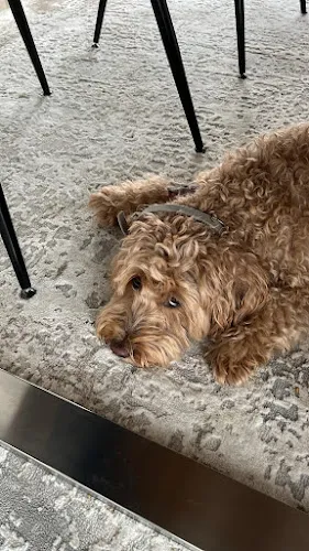 7 - Frau Thuy Thuy Truong & Herr Vinh Hoan Du