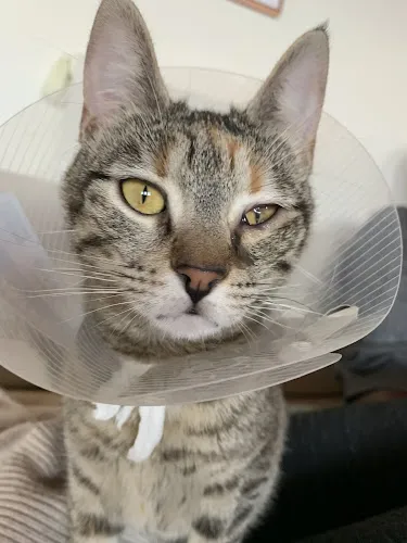 4 - Frau Thuy Thuy Truong & Herr Vinh Hoan Du