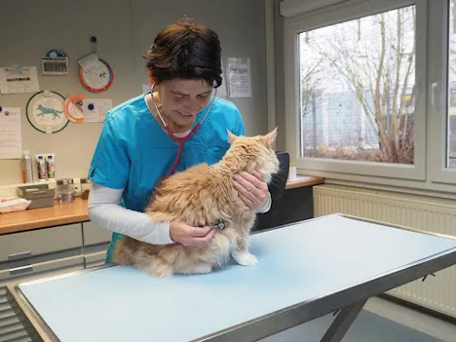 2 - Frau Thuy Thuy Truong & Herr Vinh Hoan Du