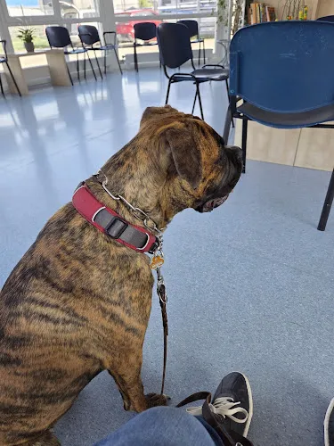 5 - Frau Thuy Thuy Truong & Herr Vinh Hoan Du