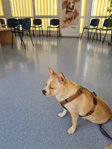 6 - Frau Thuy Thuy Truong & Herr Vinh Hoan Du