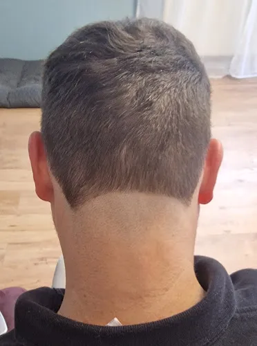 8 - Fresh Cut Coswig