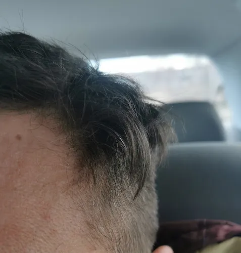 5 - Fresh Cut Coswig