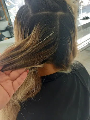 5 - Frisier Zone Marina Marchel