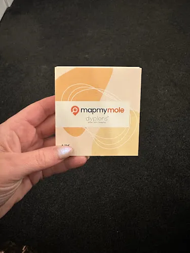 6 - Gallery of Beauty