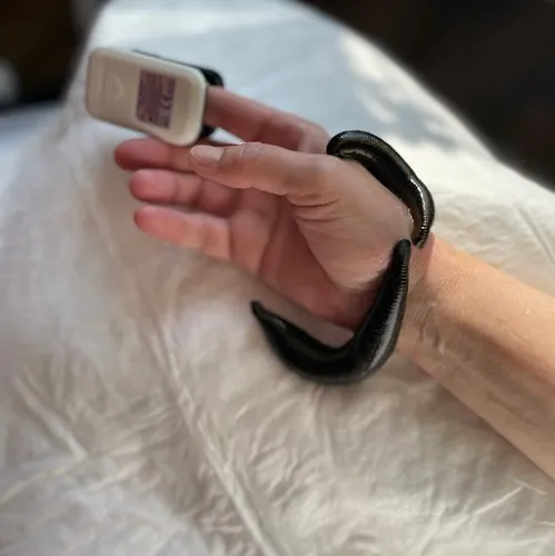 6 - Gemeinschaftspraxis Dr. med. Ulrike Meyer und Frau Dipl.-med. Ute Stein