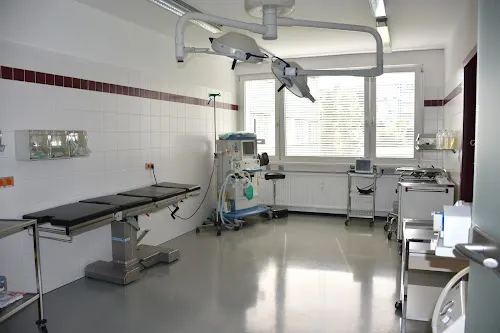 7 - GoldenStyle Damen und Herren Friseur