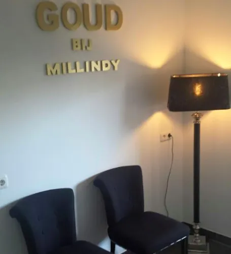 3 - GOUD Bij Millindy