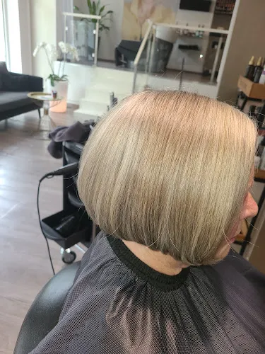 8 - Haarlex Friseursalon Ludwig-Wucherer-Straße 69 Halle (Saale)