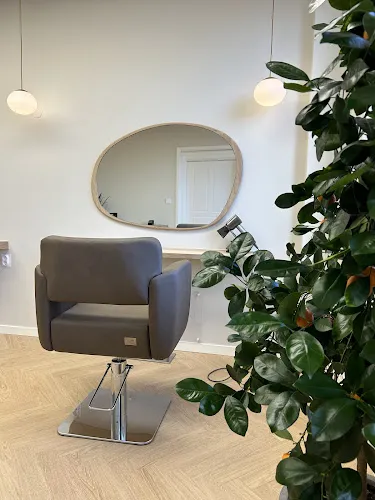 1 - Hair Style Passion