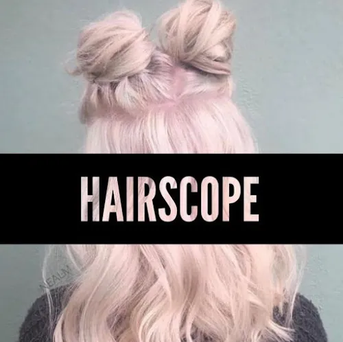 2 - Hairscope