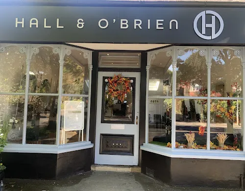 7 - Hall & O’Brien Ltd