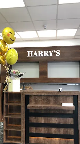 3 - Harrys hair and beauty