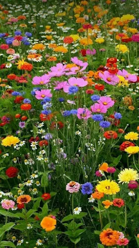 8 - Hausarztpraxis Dr. med. Jan & Dr. med. Raheleh Miran