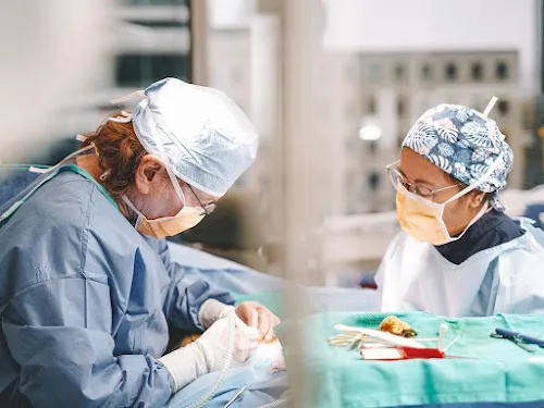 5 - Headquarters of Hair Design Inc