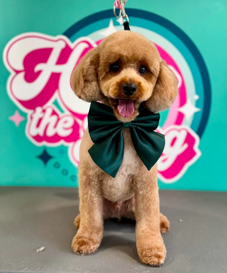 1 - Headroom Barber Shop