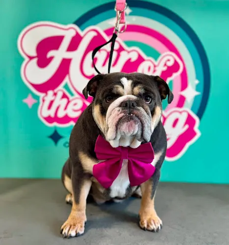 2 - Headroom Barber Shop