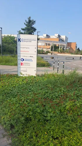 6 - Herr Abhijit Raje